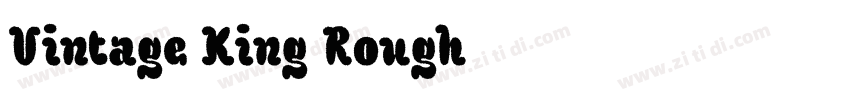 Vintage King Rough字体转换